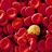 icon com.gospace.hematologiaclinica(Praktische handleiding voor hematologie) 3.3