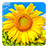 icon Golden Sunflower Live Wallpaper(Gouden zonnebloem LWP) 3.5
