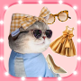 icon Cat fashion stylist(Echte kattengeluiden, kattenmode)