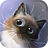 icon Peper Kitten 1.2.5