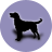 icon Dog(Honden rassen) 2.4.0