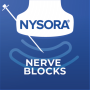 icon Nerve Blocks(NYSORA Zenuwblokken)