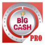 icon Big Cash Pro(Big Cash Pro - Verdien geld online
)