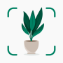 icon Plantify: AI Plant Identifier