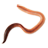icon Worm(Wormsimulator) 1.16