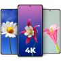 icon Cool Flower Wallpapers 4K | HD