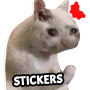 icon Stickers Cats Memes(Cat Memes Stickers WASticker)