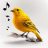 icon Bird Calls(Bird Calls, Sounds Ringtones) 13.2.2