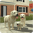 icon Dog Sim(Dog Sim Online: een gezin stichten) 211