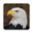 icon Eagle Sounds(Eagle Sounds and Ringtone) 2.9
