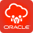 icon Oracle HCM Cloud(Oracle Fusion Toepassingen) 11.13.23.01.01