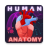 icon Human Anatomy E Theories(Menselijke anatomie E Theorieën
) 0.32