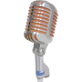 icon Microphone (Microfoon)