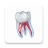 icon Dental Illustrations(Dental 3D Illustrations) 2.0.94