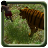 icon Mowgli(Jungle Hero Adventure Run) 1.1