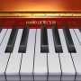 icon Piano Detector: Virtual Piano (Piano Detector: Virtuele Piano
)