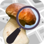 icon Mushroom Identificator(Paddestoelidentificatie - Automatisch)