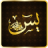 icon com.surah.yaseen.pro(Surah Yasin | Surah Yaseen) 2.6