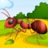 icon Ants Race(Ants Race: Verheerlijk je kolonie
) 0.8.40