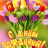 icon com.aljamalmemo97.happybirthdaycards(открытки с днем ​​рождения
) 1