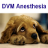 icon DVM Anesthesiology 2.33