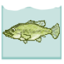 icon Blackbass Breeding (Aquarium)