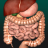icon Internal Organs 3D Anatomy(Interne Organen in 3D Anatomie) 3.1