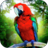 icon Jungle Parrot Simulatortry wild bird survival!(Jungle Parrot Simulator - probeer wilde vogels te overleven!) 1.3