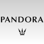 icon Jewelry for Pandora(Sieraden voor Pandora)
