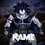 icon KAI KAME(KAI KAME: Shin Tournament
)