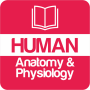 icon Human Anatomy and Physiology(Menselijke anatomie en fysiologie)