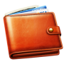 icon Wallet(portemonnee - Inkomsten en uitgaven)