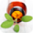 icon Aroma Guide(AromaGuide Etherische oliën) 1.5.5