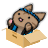 icon Cat Hanabi(Kat Hanabi) 1.7.1
