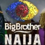 icon BBNaija News(Big Brother Naija 2021 'BBNaija' Nieuws
)