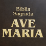 icon app.padrereginaldo(Holy Bible with Harp)