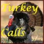 icon Turkey Calls HD(Turkije roept HD)