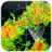 icon Weather(Lokale weersvoorspelling) 16.6.0.6365_50194