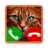 icon Fake Call Cat Game(fake call cat game) 11.0