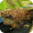 icon Army Cargo Transport challenge(Army Cargo Transport Challenge) 1.1