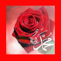 icon uyg.hzmuhammed.com(Hz. Muhammed'in Hayatı
)