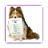 icon TRAIN A DOG(HOE EEN HOND GEMAKKELIJK TE TRAINEN VOOR 2020) 22.0