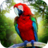 icon Jungle Parrot Simulator(Jungle Parrot Simulator - probeer wilde vogels te overleven!) 1.0