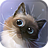 icon Peper Kitten 1.2.8