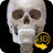 icon Skelett(Skelet 3D Anatomie) 2.4.1