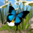 icon Butterfly Simulator 2.0