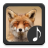 icon Fox Sounds 2.0.0
