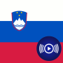 icon SI Radio(SI Radio - Sloveense radio's
)