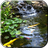 icon Pond with Koi Video Wallpaper(Vijver met Koi Live Wallpaper) 3.0
