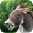 icon Donkey Sounds(Ezel klinkt) 1.0